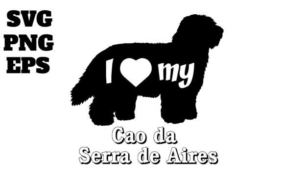 Cao Da Serra De Aires